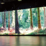 LED Wall for extended reality - driving through a green forest